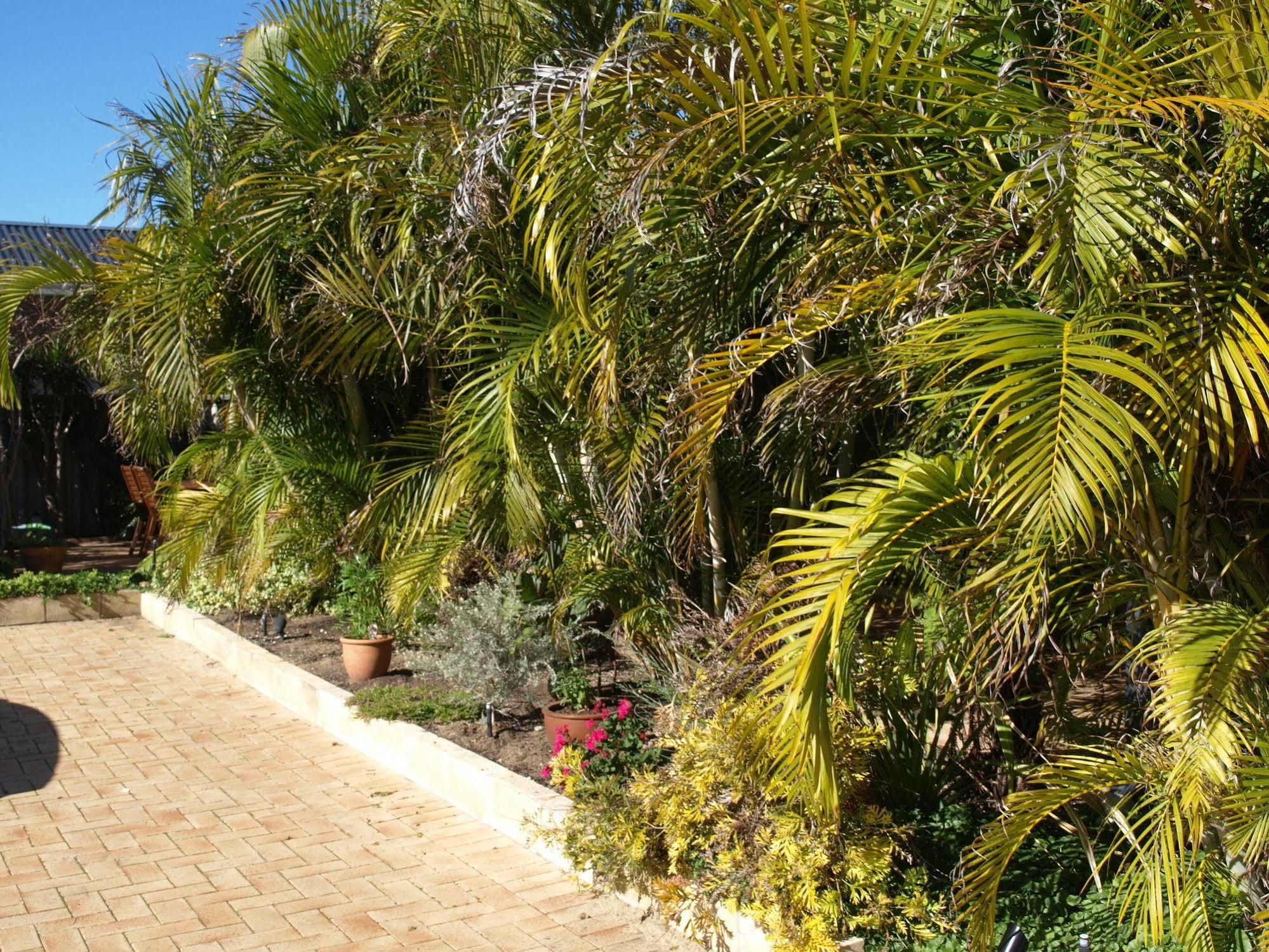 Bed & Breakfast Baudins Of - Adults Only Busselton